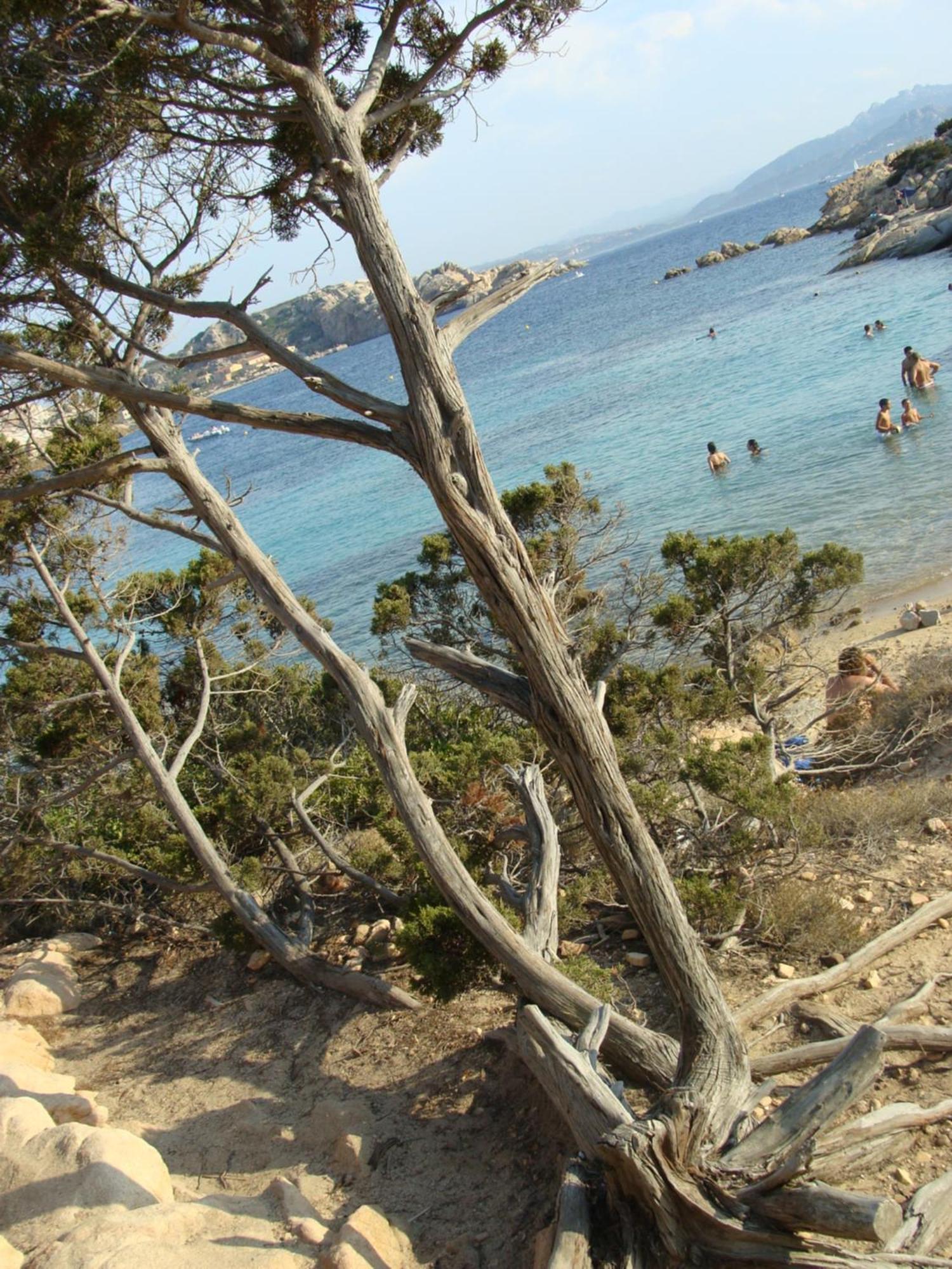 Isola Che Non C'e Trilocale 80 Mq Con Terrazza La Maddalena Sardegna Holiday home La Maddalena (Sassari)